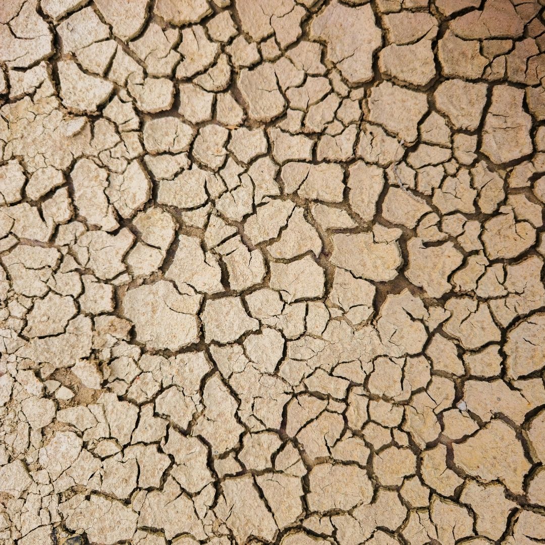 cracked earth
